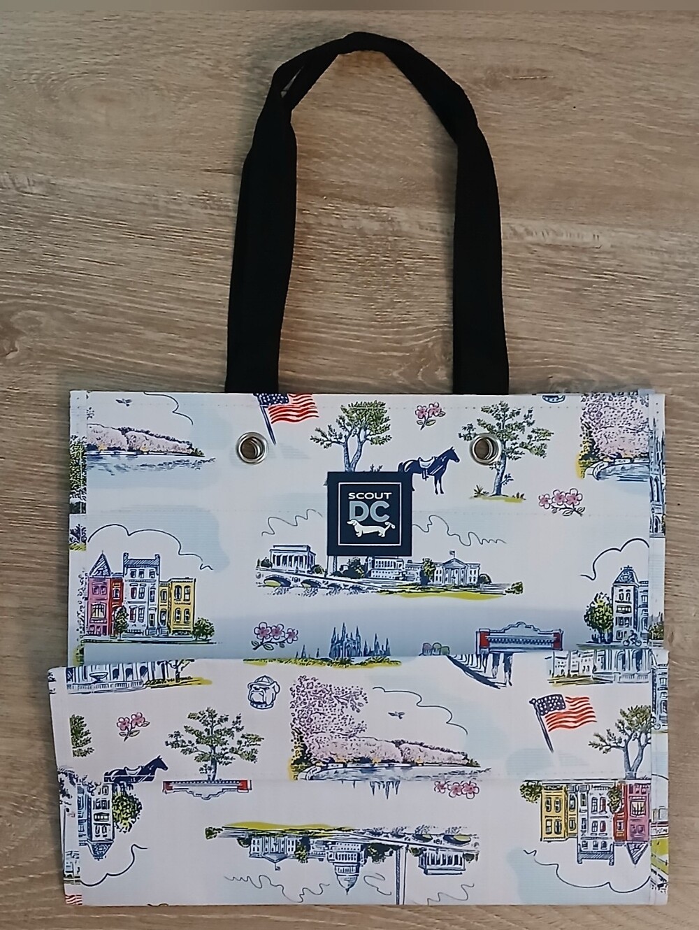Scout Washington DC Gift Bag Tote NWOT